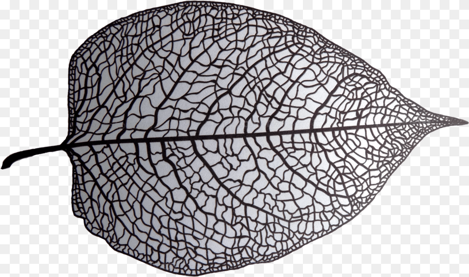 Black And White Skeleton Leaf Leaf Skeleton Black And White, Plant Free Png