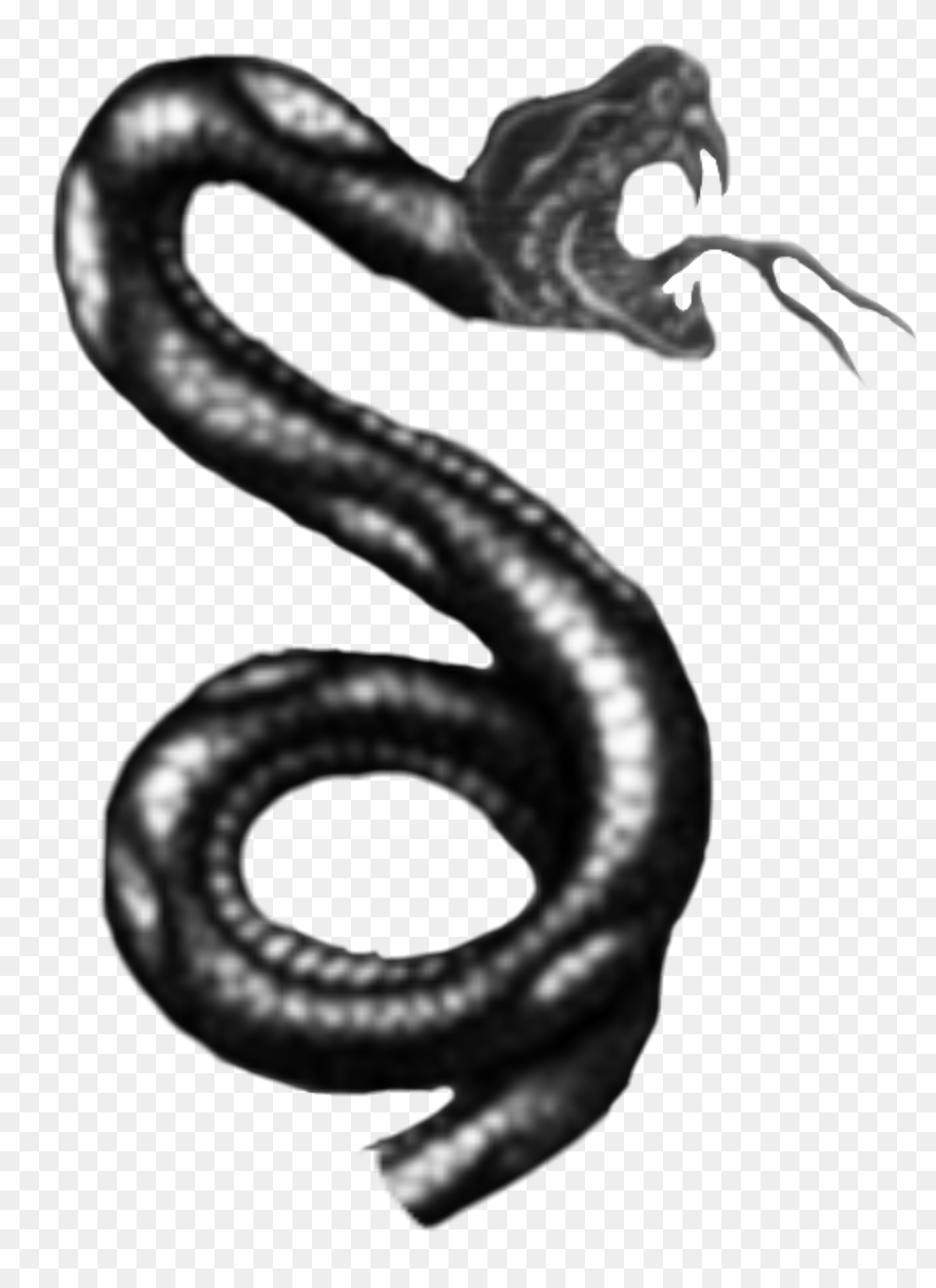 Black And White Snake Tattoo Designs, Animal, Reptile Free Png Download