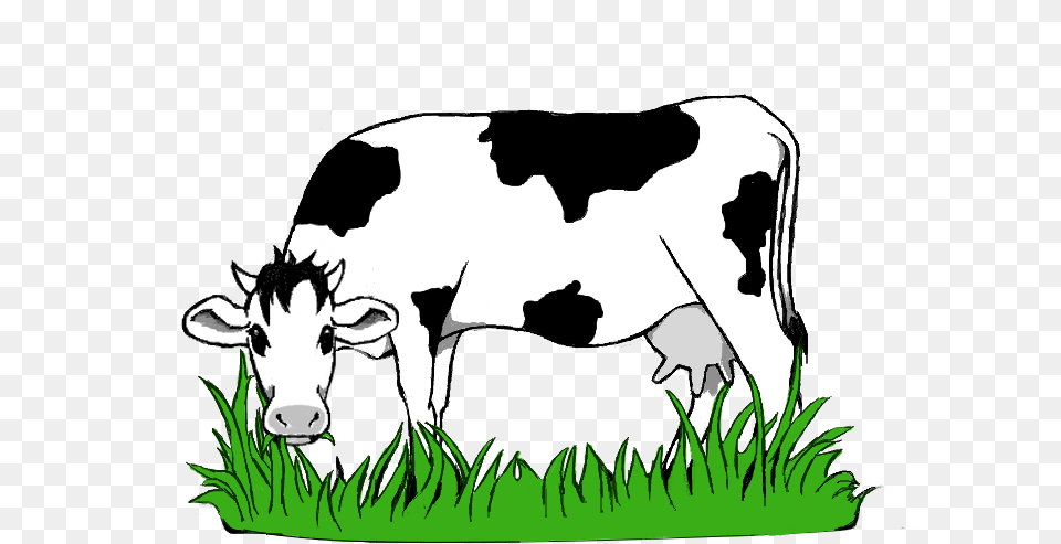 Black And White Stock Collection Of Grazing High Quality Cow Eating Grass, Animal, Cattle, Dairy Cow, Livestock Free Png Download