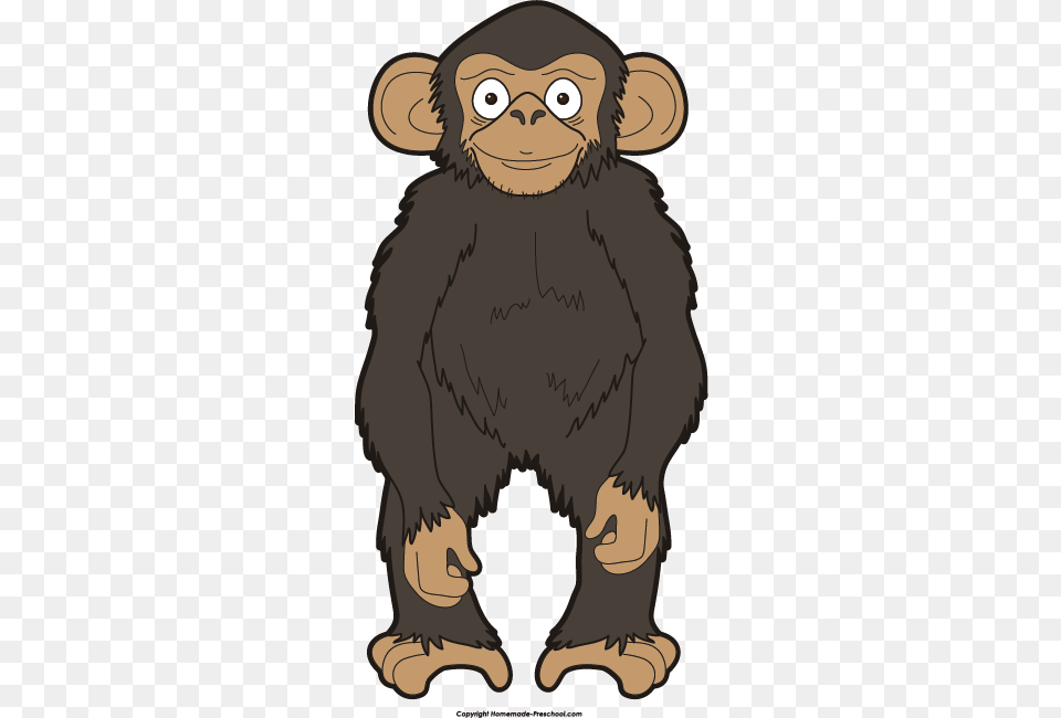 Black And White Stock Monkey Click To Save Chimpanzee Clipart, Animal, Ape, Mammal, Wildlife Free Transparent Png