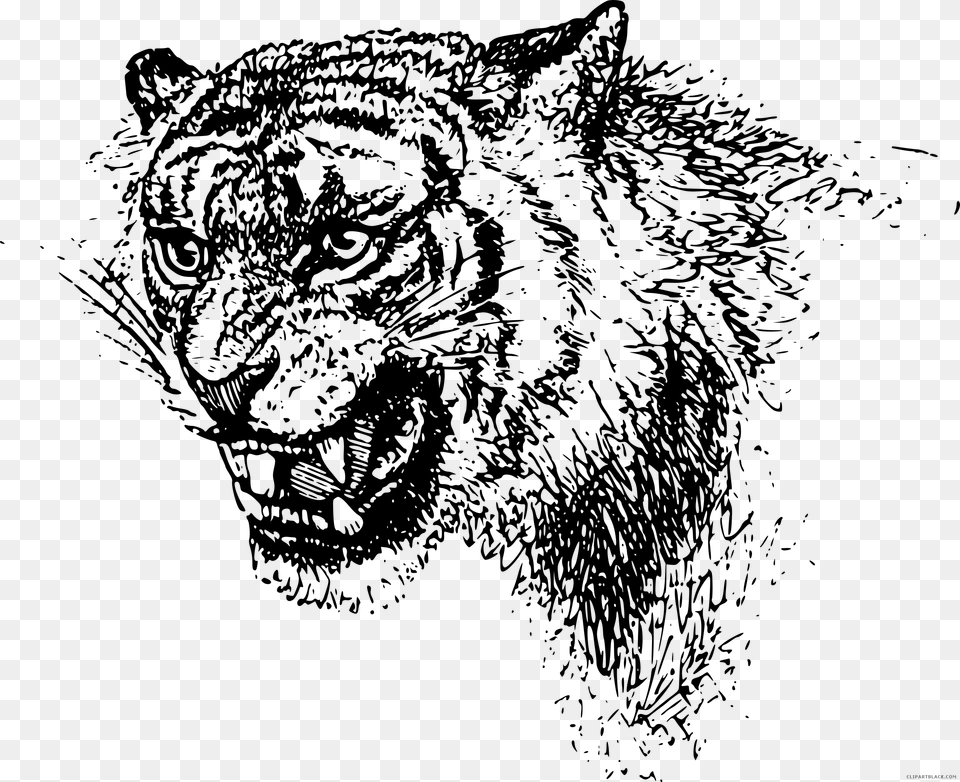 Black And White Tiger Animal Black White Clipart Line Art Tiger Head, Gray Free Png Download