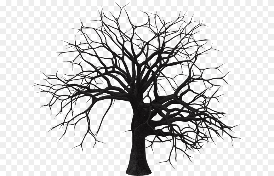 Black And White Tree, Plant, Art Free Png