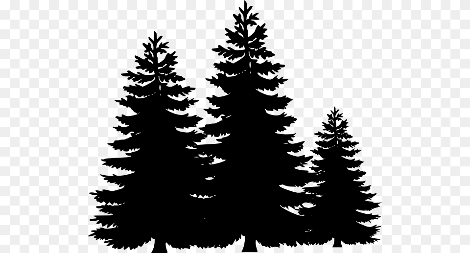 Black And White Tree Clipart, Silhouette, Plant, Pine, Fir Free Png