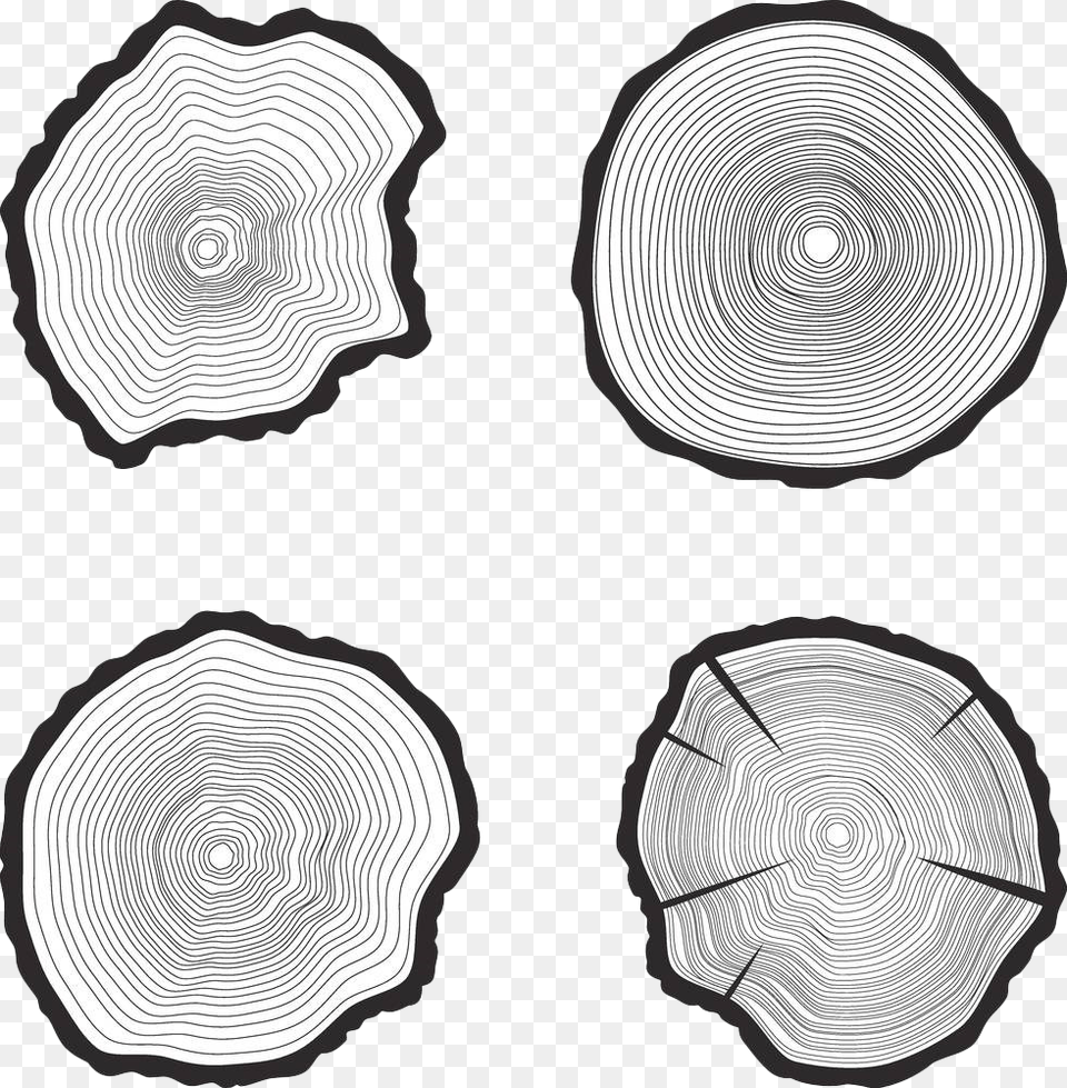 Black And White Tree Ring, Plant, Wood Png