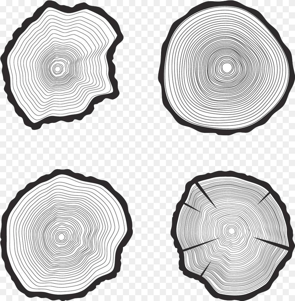 Black And White Tree Rings Tree Rings Black And White, Accessories, Spiral, Plate, Plant Png Image