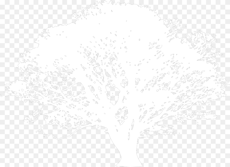 Black And White Tree Svg Clip Art Joyce Meyer Quotes, Oak, Plant, Silhouette, Sycamore Png