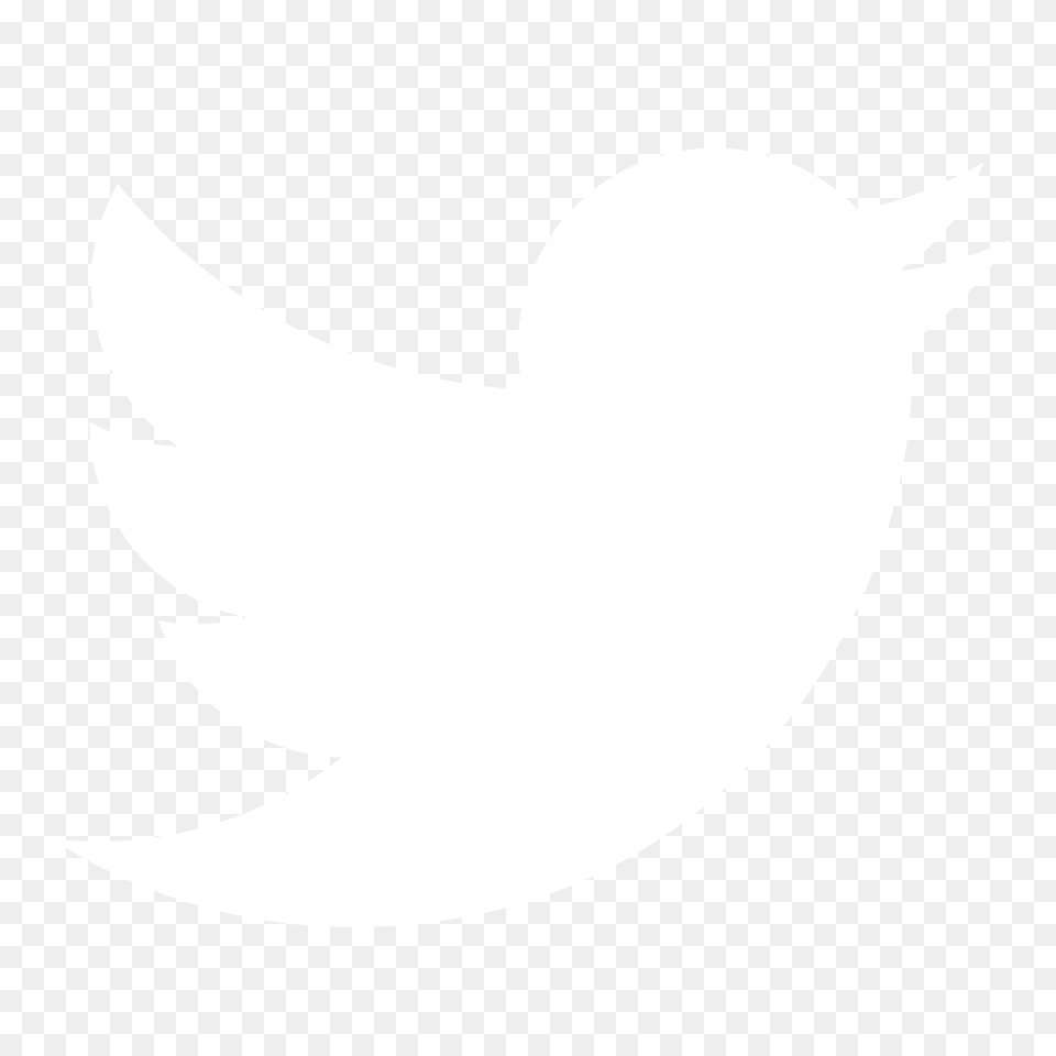 Black And White Twitter Bird Logo Twitter Logo White Vector, Astronomy, Moon, Nature, Night Free Png