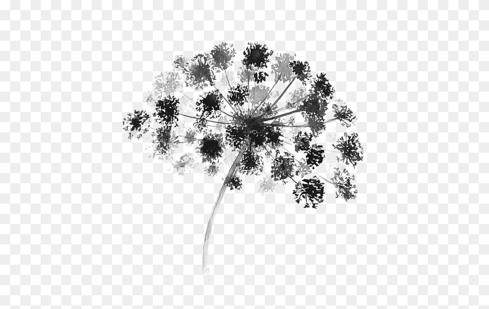Black And White Watercolor Painting Flower Graphic Watercolor Black And White Flower, Plant Free Png Download