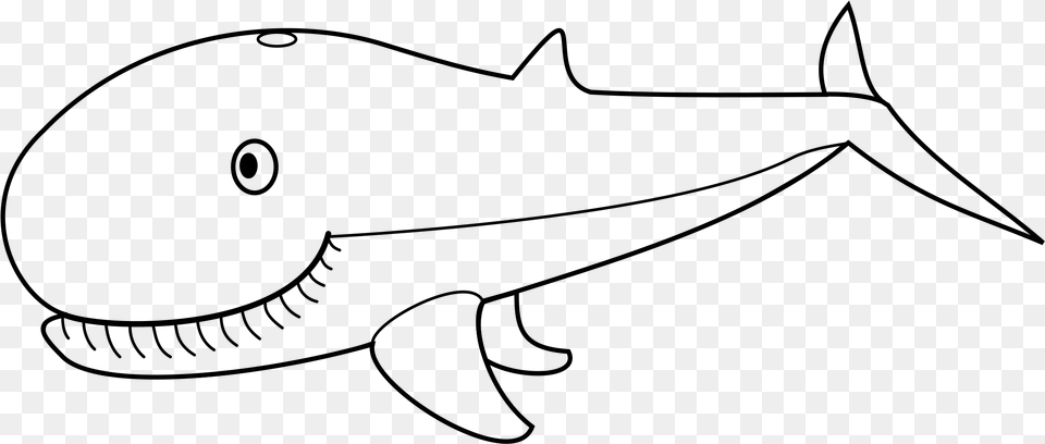 Black And White Whale Outline Pictures Of Whale, Gray Free Png