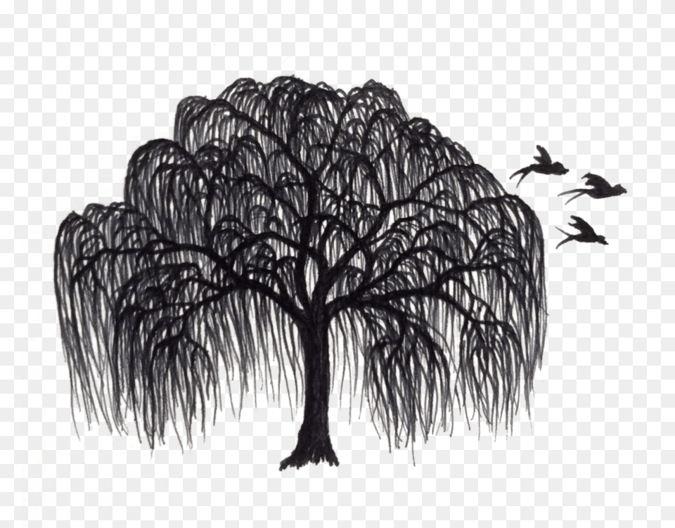 Black And White Willow Tree Clipart Willow Tree Silhouette, Plant, Art, Adult, Person Png Image