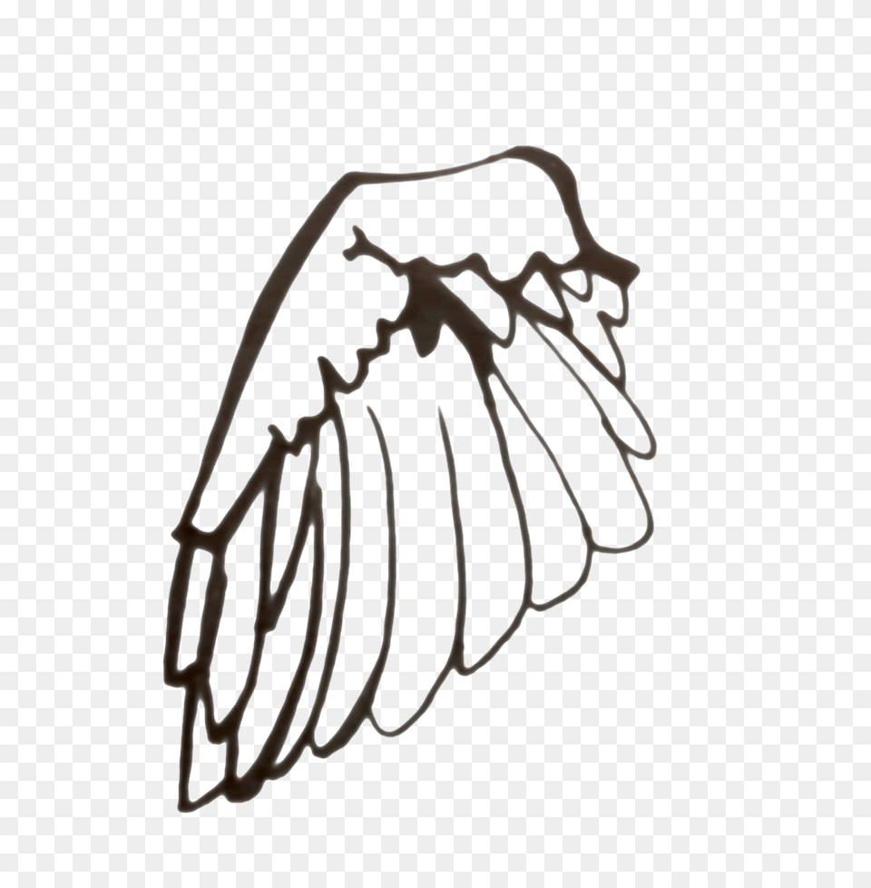 Black And White Wings, Chandelier, Lamp, Body Part, Hand Png