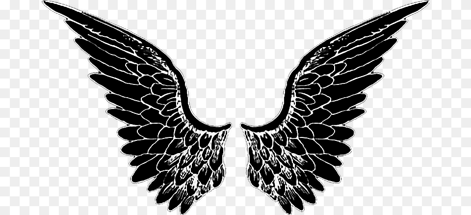 Black Angel Wings, Emblem, Stencil, Symbol, Animal Free Png