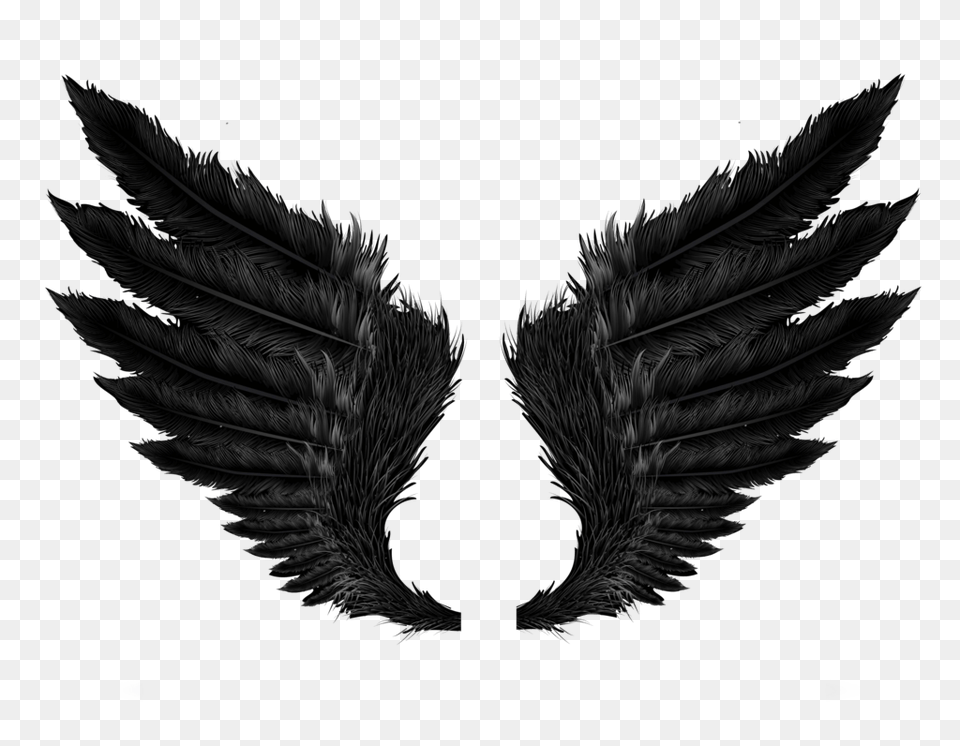 Black Angel Wings, Plant, Symbol Png