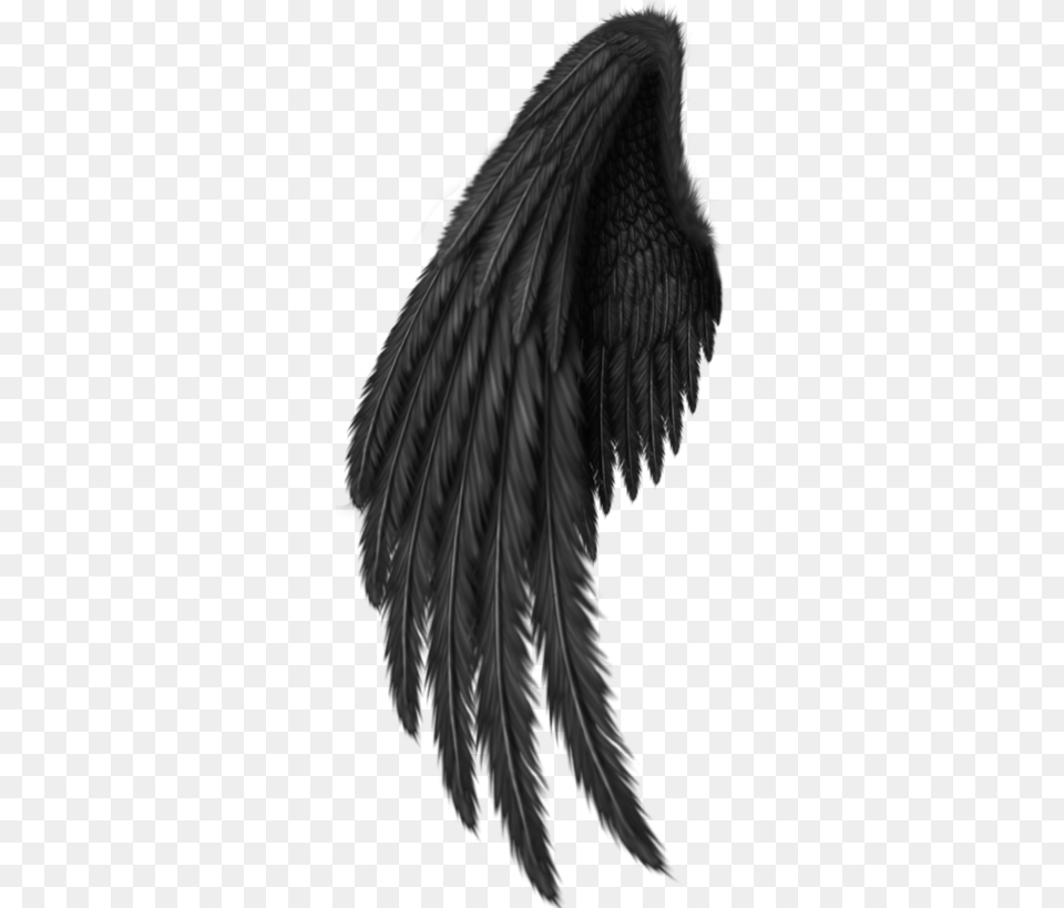 Black Angel Wings, Person Free Png