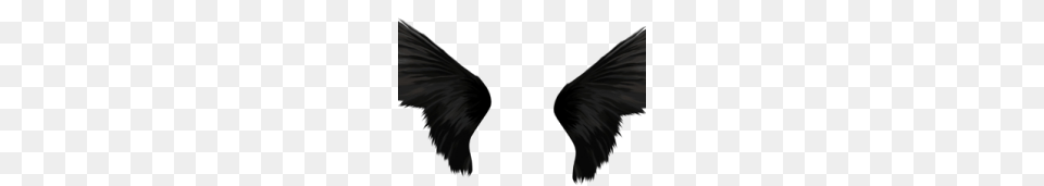 Black Angel Wings Download Image Vector Clipart, Animal, Bird, Vulture Png