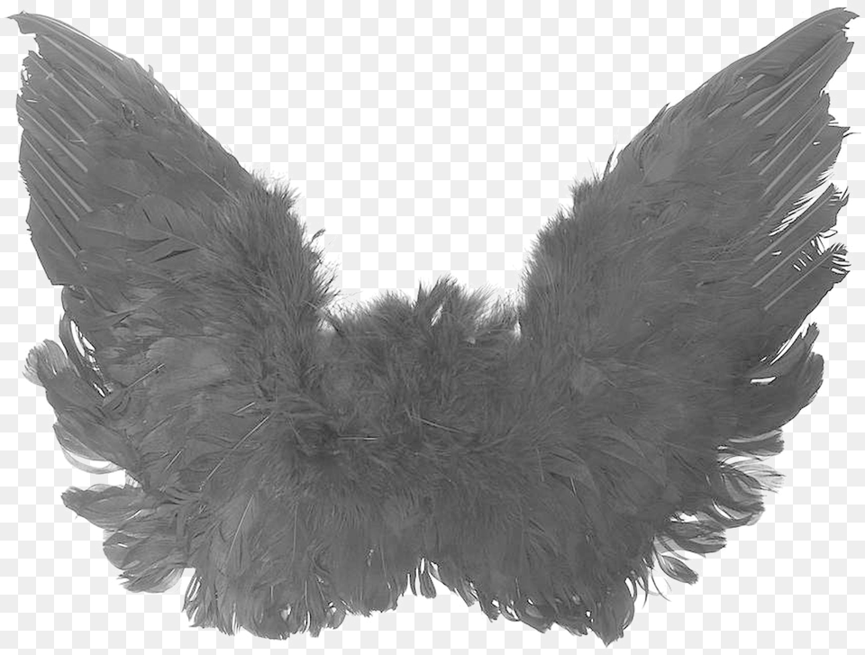 Black Angel Wings High Quality Image Black Small Wings, Accessories Free Png