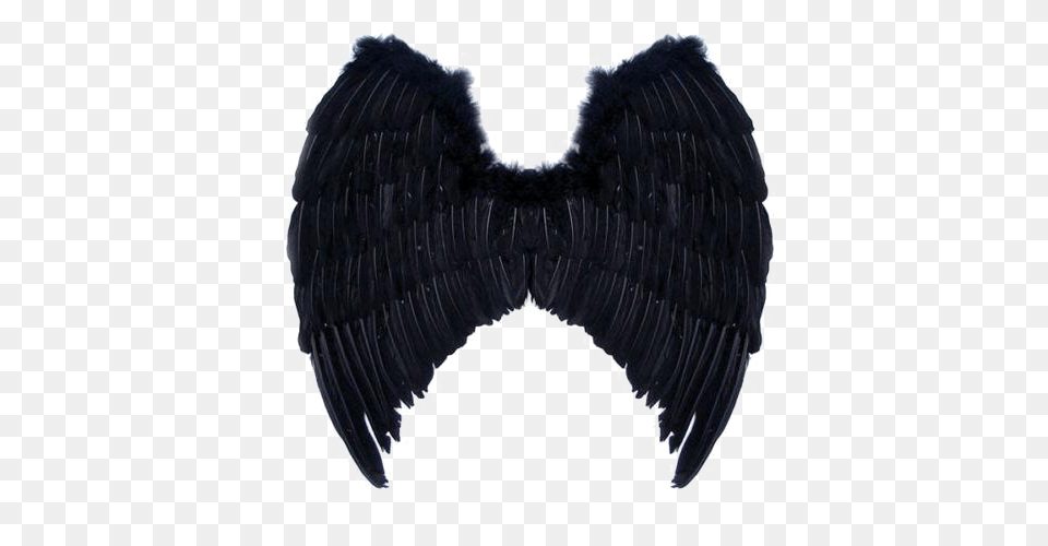 Black Angel Wings Image Background, Accessories, Animal, Bird, Cormorant Free Png Download