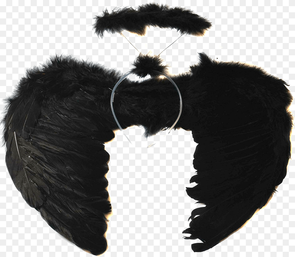 Black Angel Wings Image Fantasia De Anjo Preto, Accessories, Adult, Male, Man Free Transparent Png