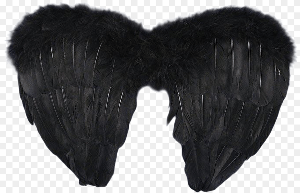 Black Angel Wings Pic Arts Black Angel Wings, Animal, Bird, Vulture, Person Free Png