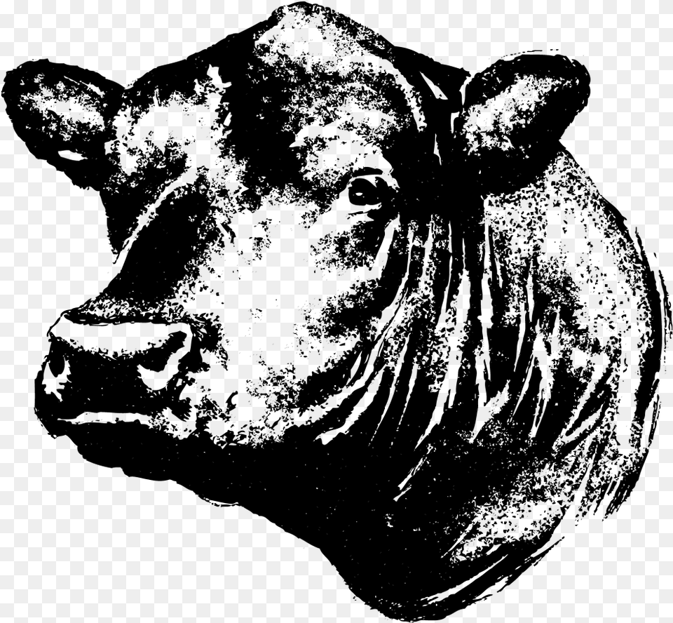 Black Angus Bull Silhouette Clipart Black Angus Cow Head, Gray Png Image