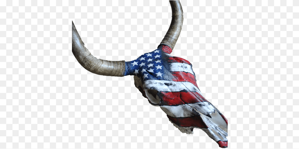 Black Angus Bull Skull Of The Us Flag Cattle, Animal, Livestock, Longhorn, Mammal Png Image
