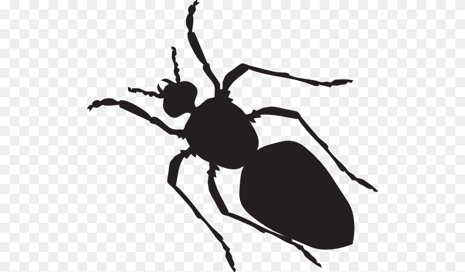 Black Ant Silhouette Clip Art, Animal, Insect, Invertebrate Free Png