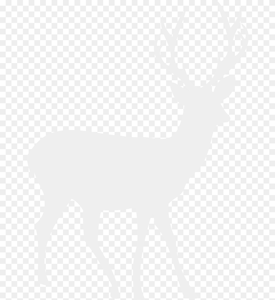 Black Antlers Picture For Elk, Animal, Deer, Mammal, Wildlife Free Transparent Png