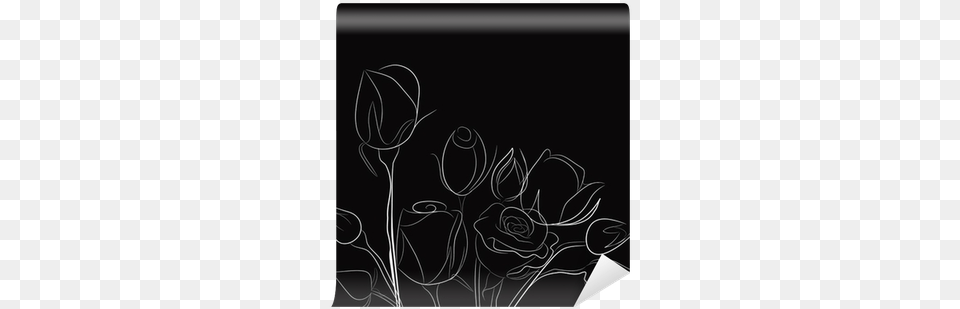 Black Background With White Roses Wall Mural Pixers White, Art, Graphics, Blackboard, Floral Design Png