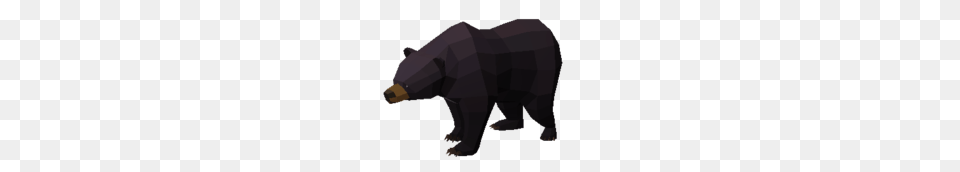 Black Bear, Animal, Mammal, Wildlife, Black Bear Png Image