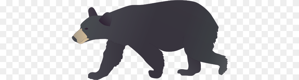 Black Bear Clipart, Animal, Black Bear, Mammal, Wildlife Free Png