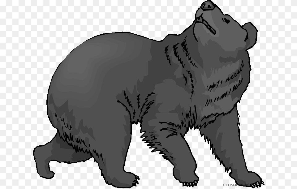 Black Bear Clipart, Animal, Cat, Mammal, Manx Free Png
