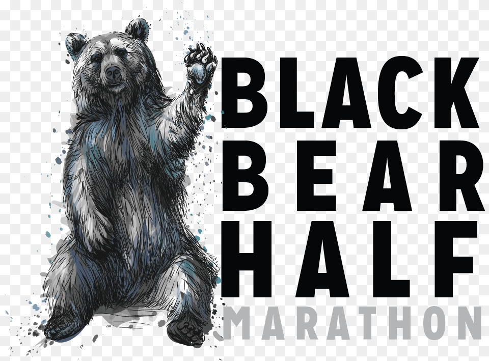 Black Bear Half Marathon Fiction, Animal, Mammal, Wildlife, Ape Png Image