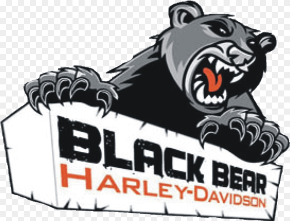 Black Bear Harley Black Bear Harley Davidson, Electronics, Hardware, Adult, Person Png