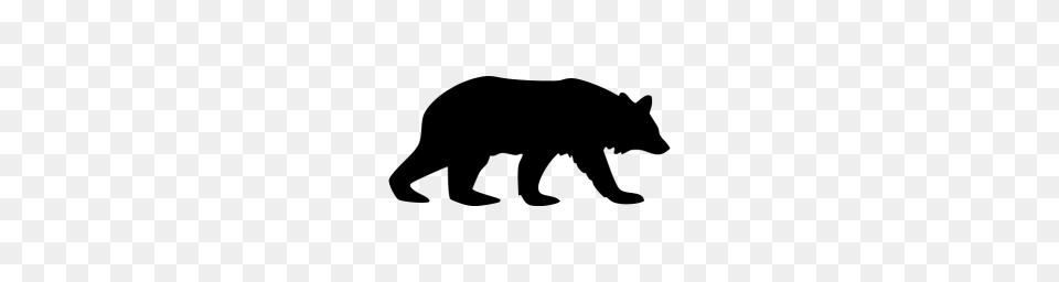 Black Bear Icon, Gray Free Transparent Png
