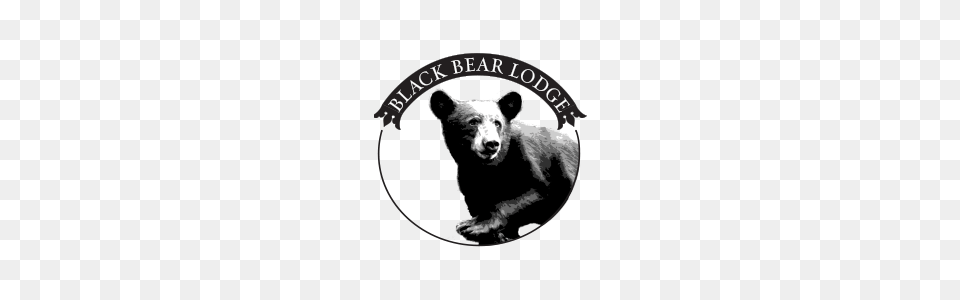 Black Bear Lodge Of Sapphire, Animal, Mammal, Wildlife Png
