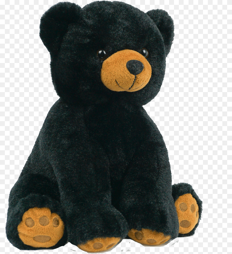 Black Bear Stuffed Animal Black Bear, Teddy Bear, Toy, Mammal, Wildlife Png Image