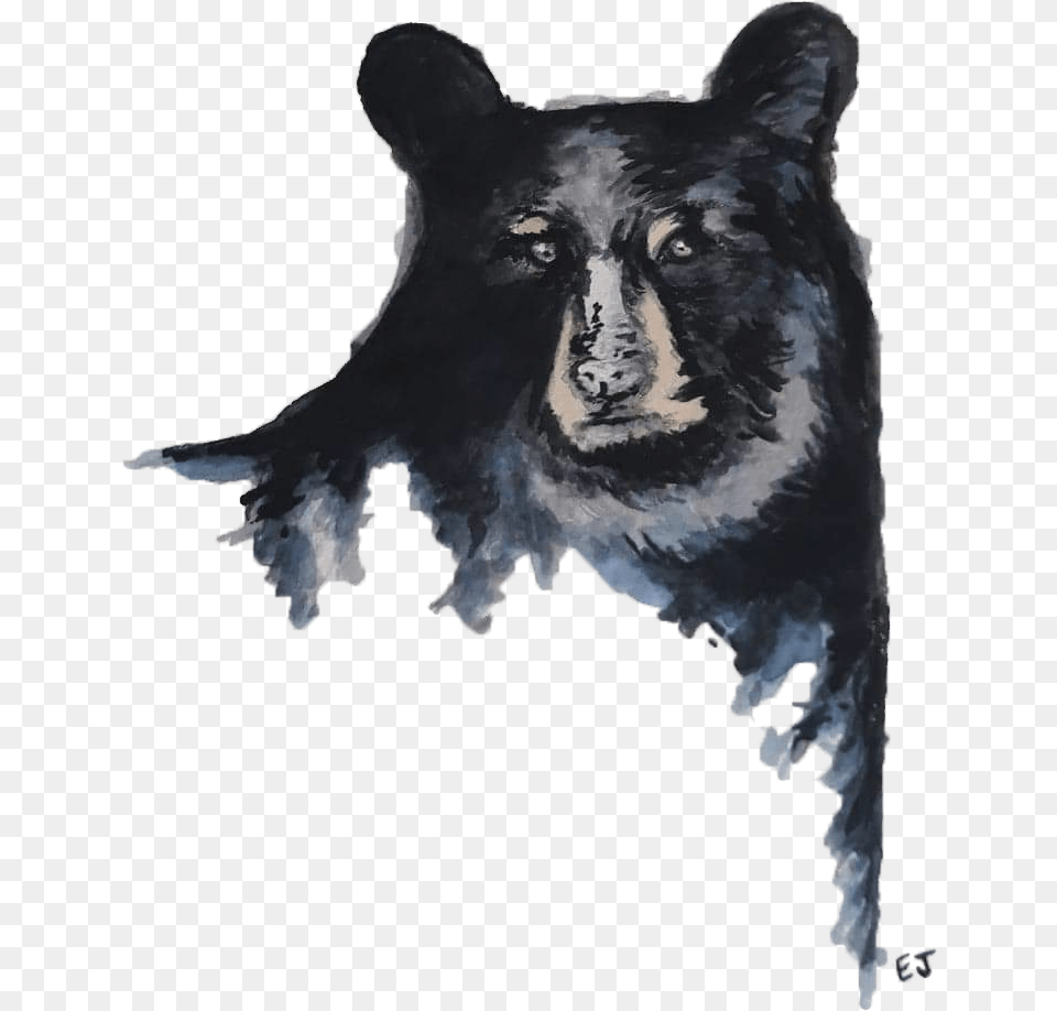 Black Bear U2014 In Our Nature, Animal, Pet, Mammal, Canine Free Png Download