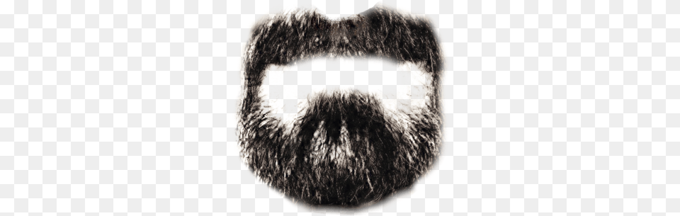 Black Beard, Face, Head, Person, Mustache Png