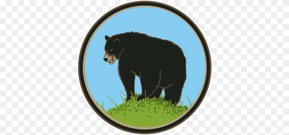 Black Bears Butt Old Rock Coffee, Animal, Bear, Mammal, Wildlife Free Png