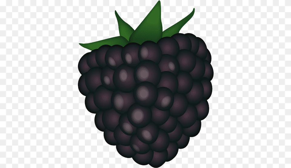Black Beauty Conventional Fresh, Berry, Food, Fruit, Plant Png