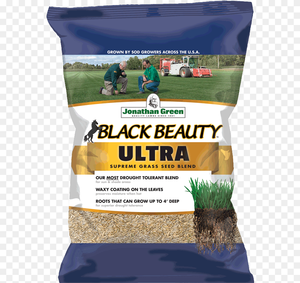Black Beauty Grass Seed, Adult, Male, Man, Person Png Image