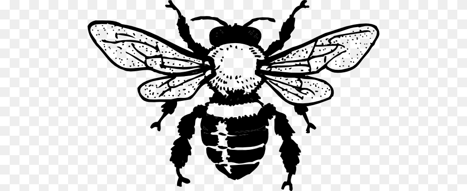 Black Bee Svg Clip Arts 600 X 394 Px, Animal, Honey Bee, Insect, Invertebrate Free Png Download