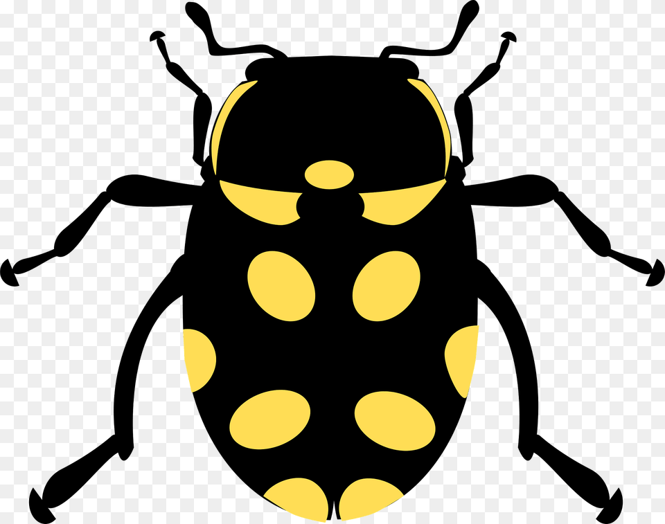 Black Beetle With Yellow Spots Clipart, Animal, Bee, Insect, Invertebrate Png