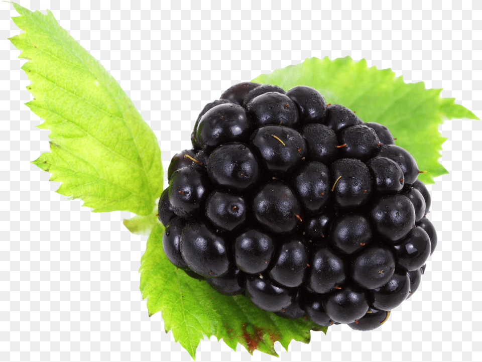 Black Berrys, Berry, Food, Fruit, Plant Free Transparent Png