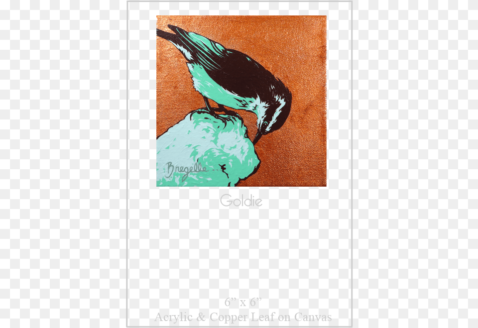 Black Billed Magpie, Animal, Art, Beak, Bird Png