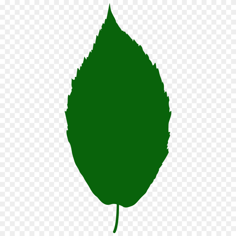 Black Birch Leaf Silhouette, Green, Plant Free Transparent Png