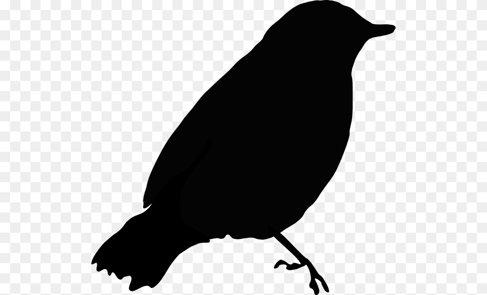 Black Bird Clip Art, Animal, Blackbird, Silhouette, Mammal Free Png Download