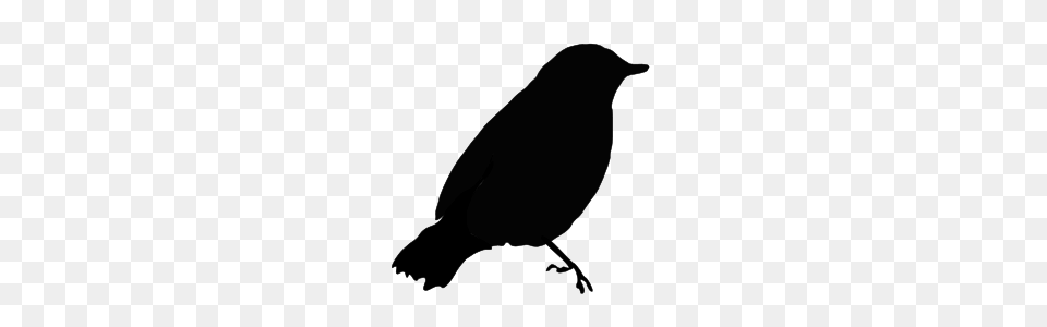 Black Bird Clip Arts For Web, Gray Png