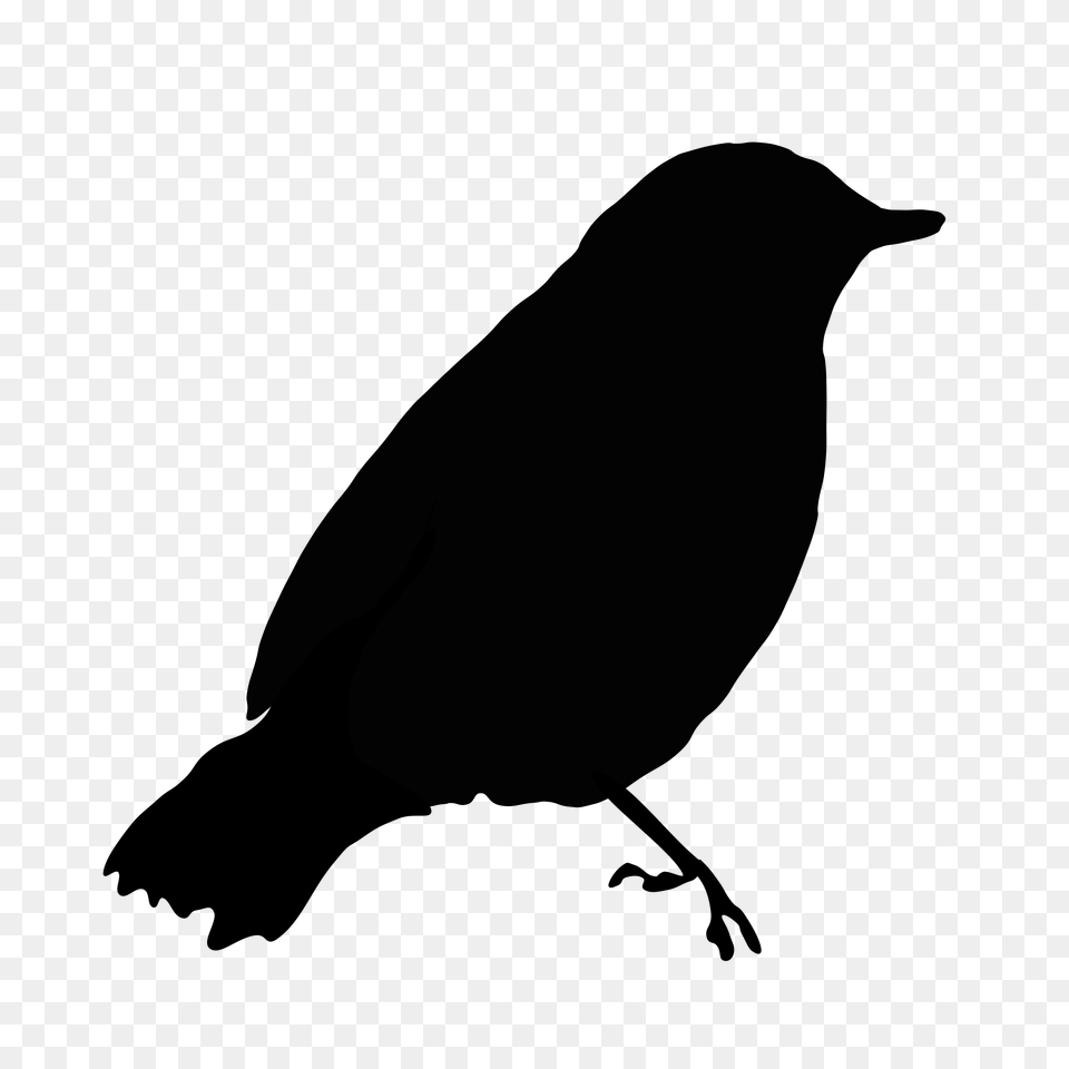 Black Bird Clipart, Gray Png