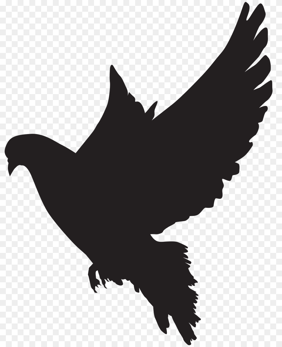 Black Bird Download Bird Black Flying, Cross, Symbol, Logo Png Image